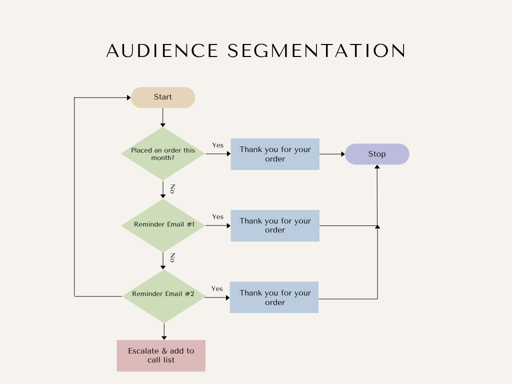 Audience segmentation flow diagram showing users routed by order status and reminder emails